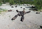 photo thumbnail #12