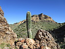 photo thumbnail #4