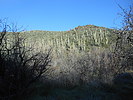 photo thumbnail #1