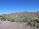 photo thumbnail #2