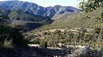 photo thumbnail #6