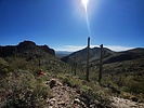 photo thumbnail #4