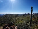 photo thumbnail #7