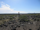photo thumbnail #11