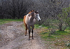photo thumbnail #11