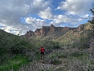 photo thumbnail #4