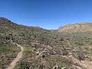 photo thumbnail #8