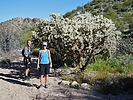 2020-03-01 :2: Bulldog Canyon Loop :: LosDosSloFolks