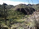 photo thumbnail #5