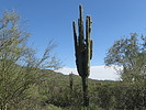 photo thumbnail #13