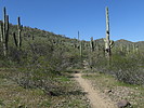 photo thumbnail #15