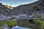photo thumbnail #4
