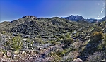 photo thumbnail #6