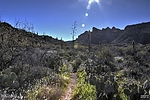 photo thumbnail #9