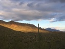 photo thumbnail #1
