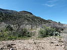 photo thumbnail #14