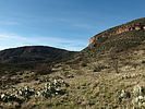 photo thumbnail #6
