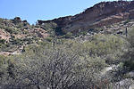 photo thumbnail #4