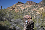 photo thumbnail #5