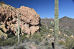 photo thumbnail #14