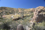 photo thumbnail #15