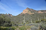photo thumbnail #2