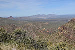 photo thumbnail #7