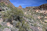 photo thumbnail #10