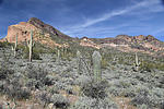 photo thumbnail #13