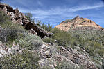 photo thumbnail #14