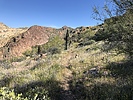 photo thumbnail #3