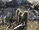 photo thumbnail #7