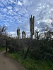 photo thumbnail #3