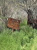photo thumbnail #9
