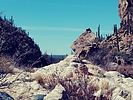 photo thumbnail #2