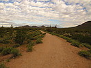 photo thumbnail #5