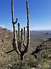 photo thumbnail #10