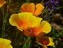 photo thumbnail #9