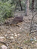 photo thumbnail #3