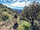 photo thumbnail #2