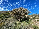 photo thumbnail #9