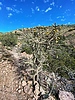 photo thumbnail #12