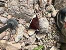 photo thumbnail #9
