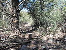 photo thumbnail #5