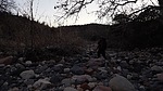 recent photo
