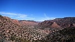 photo thumbnail #3
