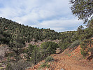 photo thumbnail #4