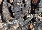 photo thumbnail #7
