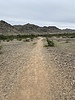 photo thumbnail #11