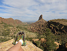 photo thumbnail #12